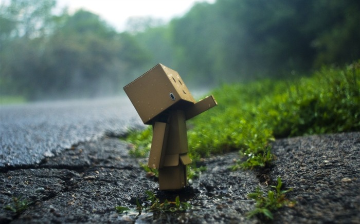 Danbo in Park - Danbo Danboard Wallpapers 08 Views:21147 Date:2011/5/28 6:24:32