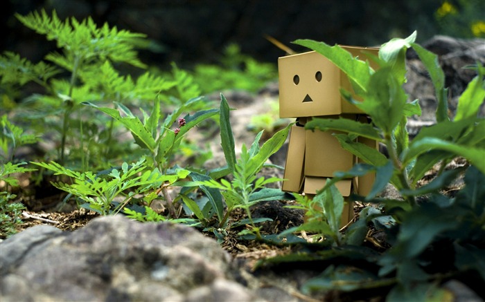 Danbo in Park - Danbo Danboard Wallpapers 11 Views:15954 Date:2011/5/28 6:25:40