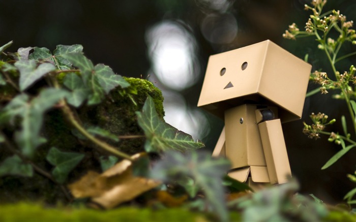 Danbo in Park - Danbo Danboard Wallpapers 16 Views:14135 Date:2011/5/28 6:27:43