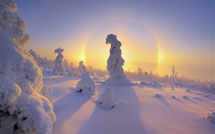 Germania Ore Mountains halo em volta de um papel de parede com árvores cobertas de neve Visualizações:19528