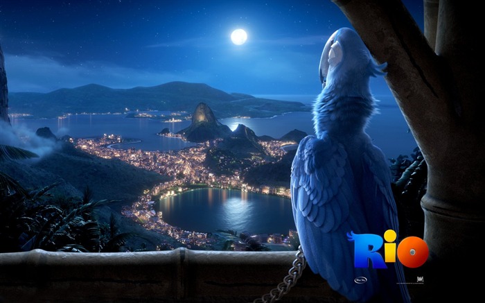 Rio Adventure Rio Movie Wallpaper 02 Views:19952 Date:2011/5/23 22:46:21