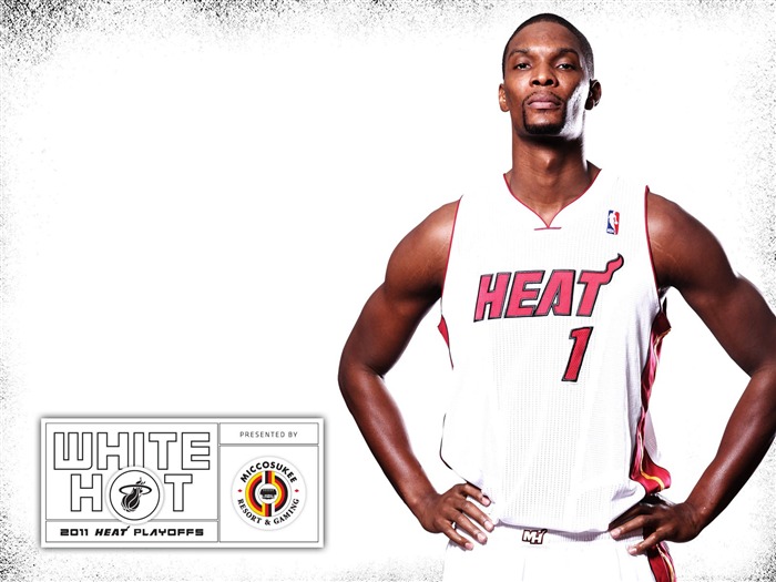 2010-11 NBA Miami Heat Chris Bosh Playoffs Vistas:20172