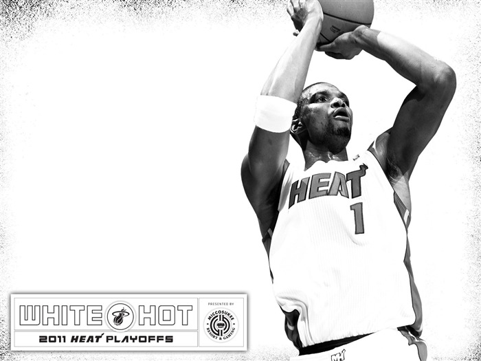 2010-11 NBA Miami Heat Chris Bosh WhiteHot Vistas:19574