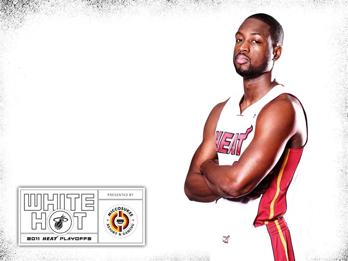 2010-11 NBA Miami Heat Dwyane Wade Playoffs Vistas:20890