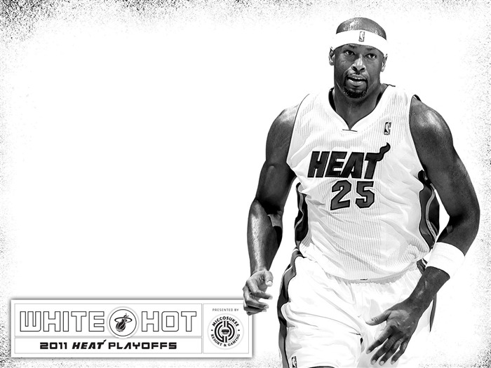 2010-11 NBA Miami Heat Erick Dampier WhiteHot Vistas:9878