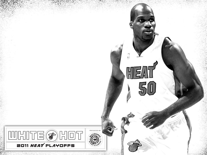 2010-11 NBA Miami Heat Joel Anthony WhiteHot Vistas:14478