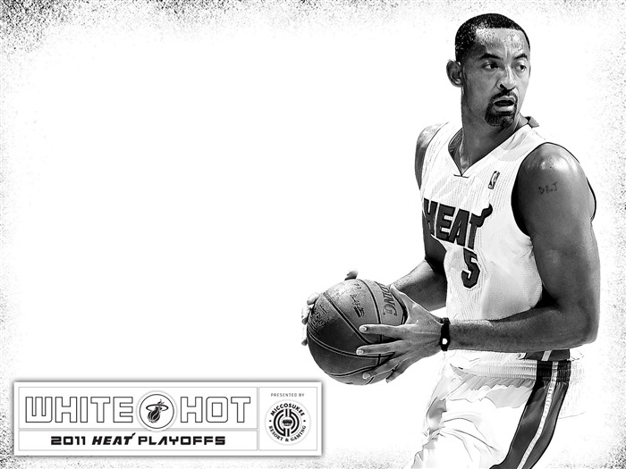 2010-11 NBA Miami Heat Juwan Howard WhiteHot Vistas:12217