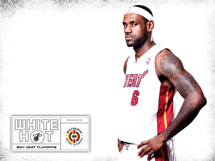 2010-11 NBA Miami Heat LeBron James Playoffs Vistas:23143