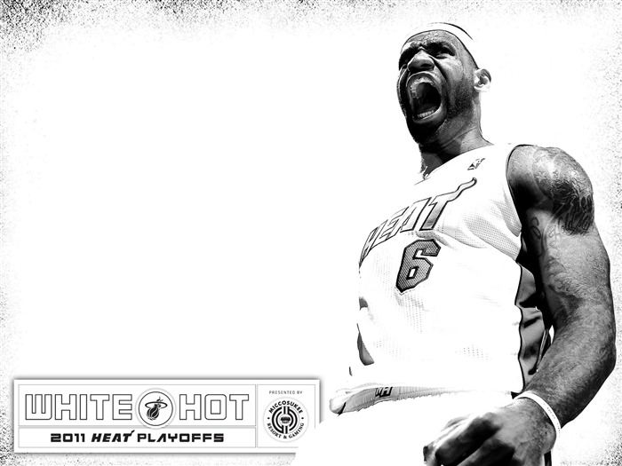 2010-11 NBA Miami Heat LeBron James White Hot Views:49541 Date:2011/6/16 0:21:11