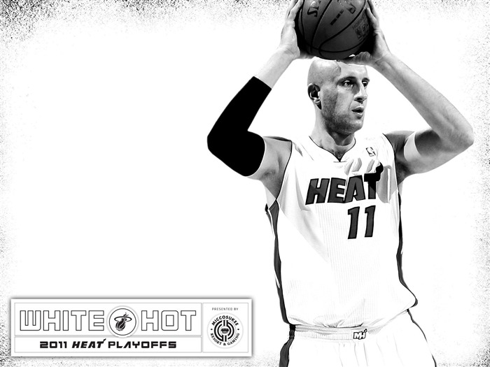 2010-11 NBA Miami Heat Zydrunas Ilgauskas WhiteHot Vistas:9230