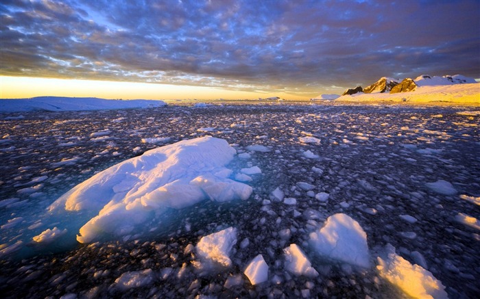 Fondo de pantalla de hielo de la Antártida Wilkins Vistas:18542