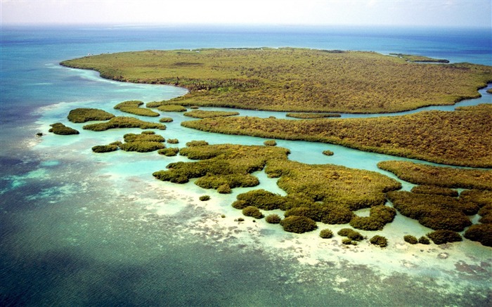 Fondo de pantalla de arrecife de coral de Belice Vistas:18789