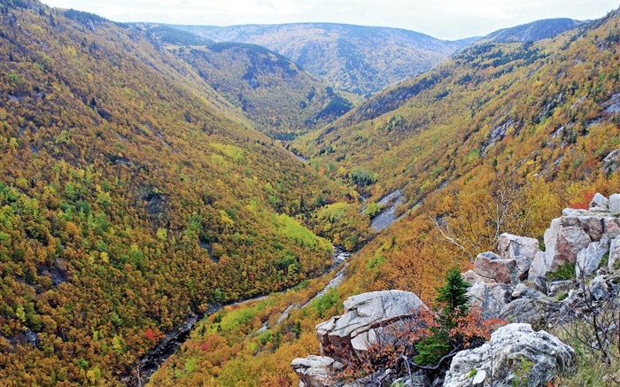 Fondo de pantalla de Parque Nacional Cape Breton Highlands, Canadá Vistas:14862