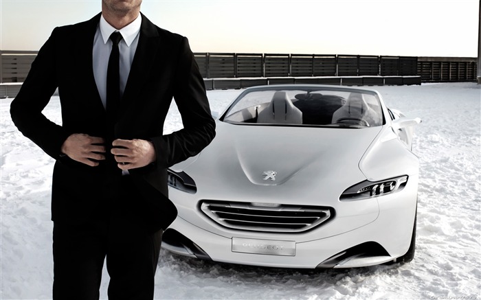 Concept Car Peugeot SR1 - 2010 07 Visualizações:11971