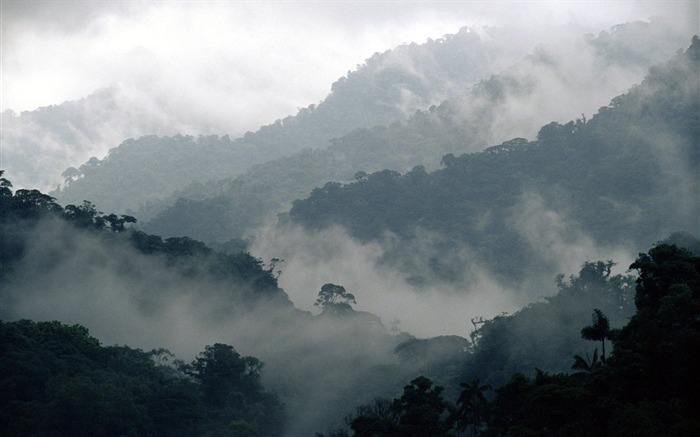 Papel de Parede de Montevidéu da Floresta Nuvem da Costa Rica Visualizações:39876