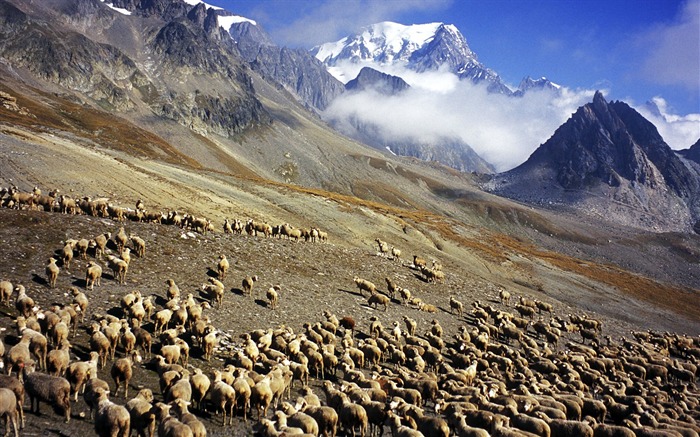 Frontera del papel pintado de la multitud de Francia Italia Mont Blanc Vistas:21019