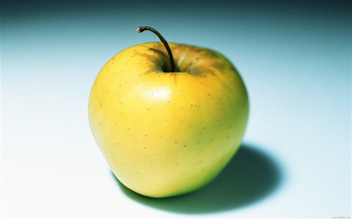 Fruit Photographie Golden Delicious Apple Wallpaper Vues:18341