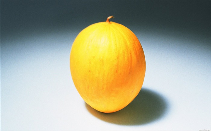 Photographie du melon d'or Wallpaper Vues:16786