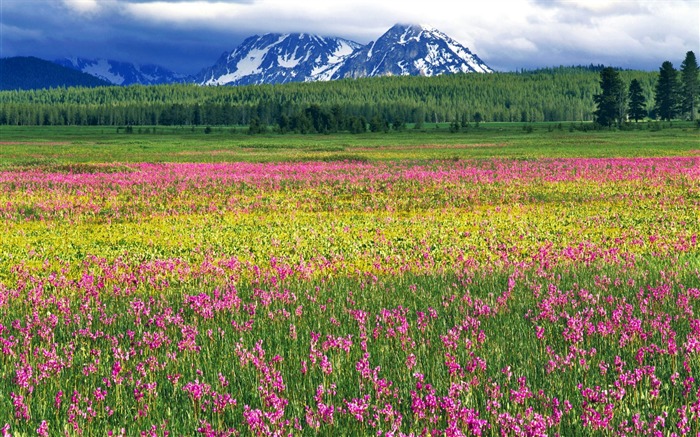 Fondo de Pantalla de la Zona Nacional de Turismo de Idaw Sawtooth Vistas:14554