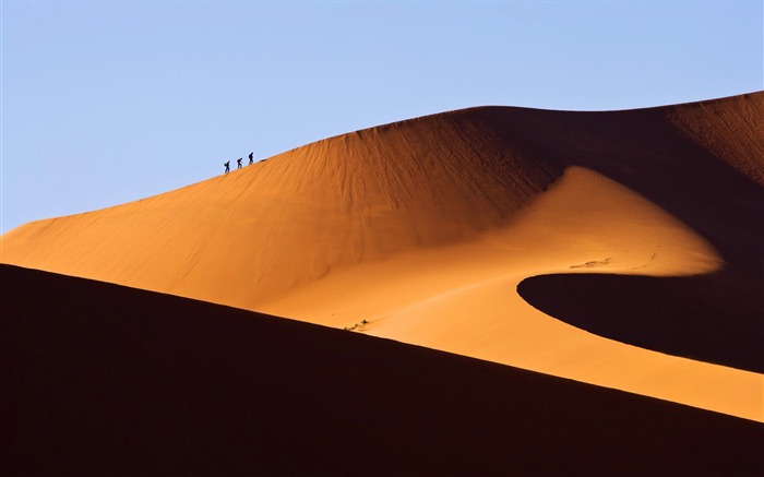 Papel pintado del desierto de Namibia Namibia Vistas:36798