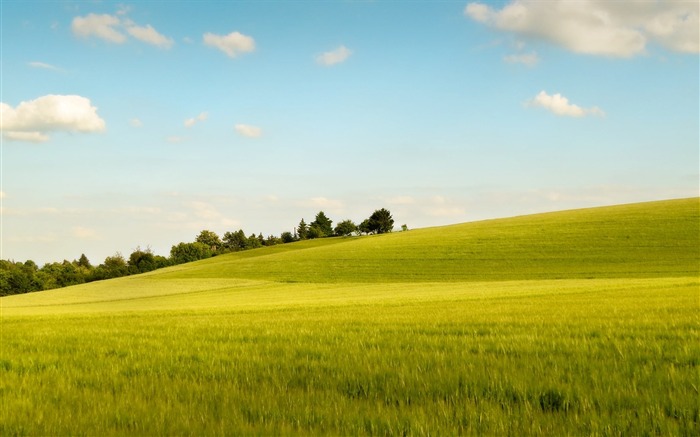 Soleil l'après-midi photo à travers le champ Vues:17154