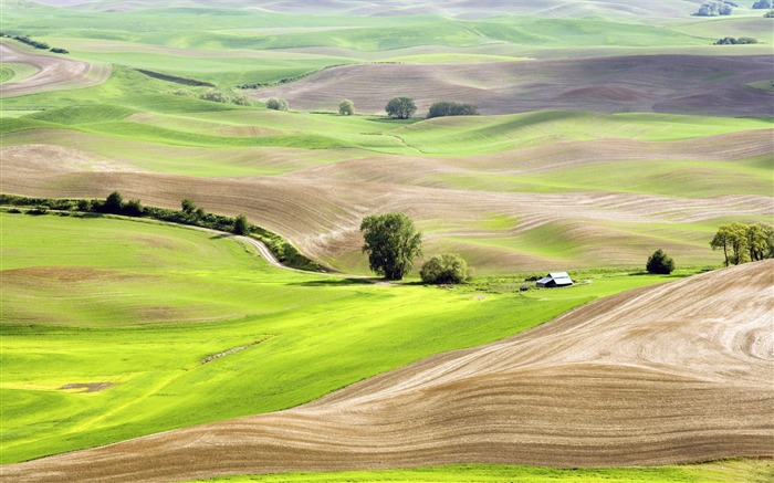 Photo Vast view of cultivated landscape Views:11651 Date:2011/6/27 18:23:11