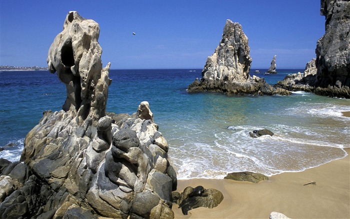 Shenglu Cabo Mexico Fidel Wallpaper Views:14472 Date:2011/6/6 22:27:21