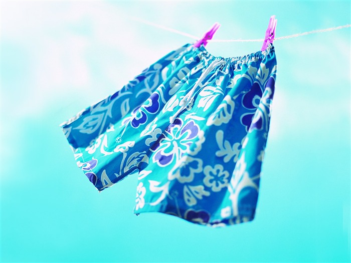 Summer swimming trunks - Summer Still Life Photography logo Views:7006 Date:2011/6/22 23:06:41