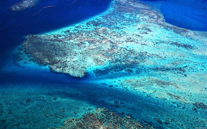 タヒチ島サンゴ礁の壁紙 ブラウズ:18858