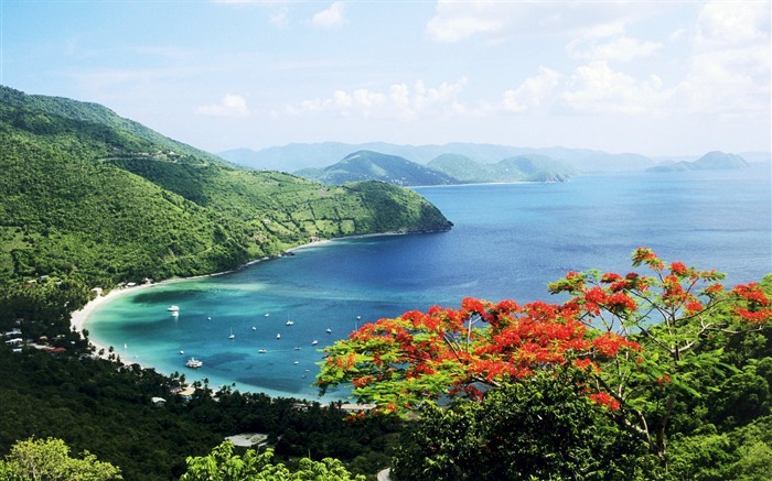 Islas Vírgenes Tortola Cane Garden Bay fondo de pantalla Vistas:14326