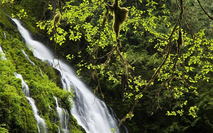 Washington state and Red Aspen Boulder Falls wallpaper Views:10518 Date:2011/6/6 22:32:17