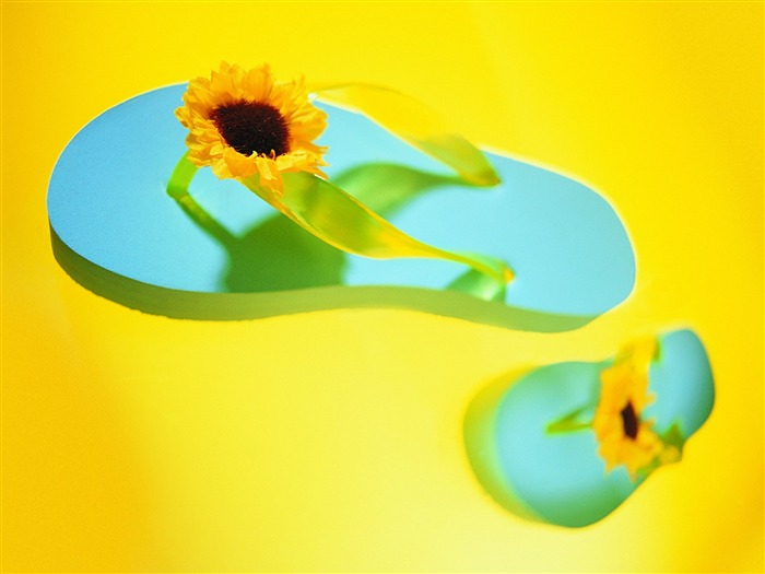 beach slippers - Summer Still Life Photography logo Views:9844 Date:2011/6/22 23:00:19