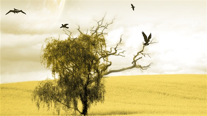 A Dreamy World - Digital Landscape Photo manipulation 24 Views:6744 Date:2011/7/2 11:35:36