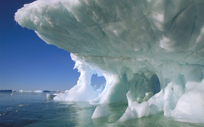 Península Antártica- Fondo de Pantalla de la Isla Petermann Vistas:10967