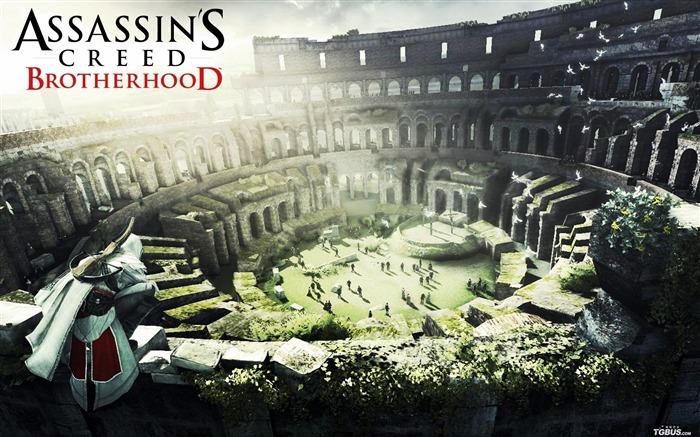 Assassin Creed Brotherhood Wallpaper Views:24394 Date:2011/7/19 5:33:45