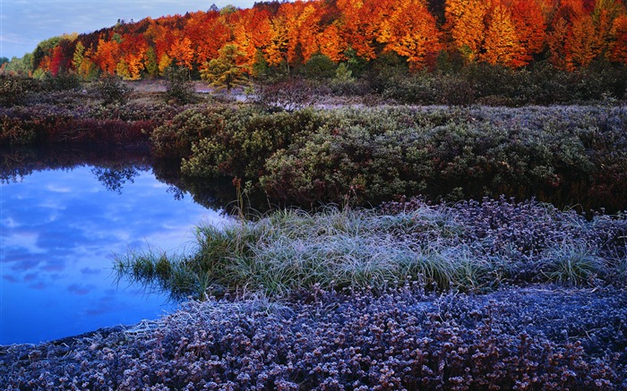 紅葉の壁紙 ブラウズ:17233