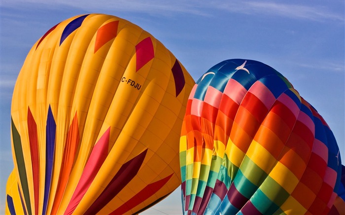 Colorful hot air balloon envelopes Views:9533 Date:2011/7/21 17:35:42