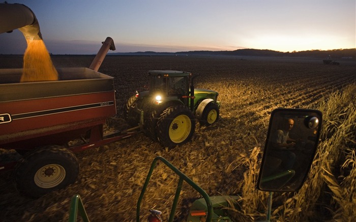 Granjero de maíz trabajando en Iowa abajo Vistas:11052