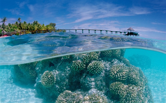 Atoll Fakarava dans l'archipel des Tuamotu Vues:26848