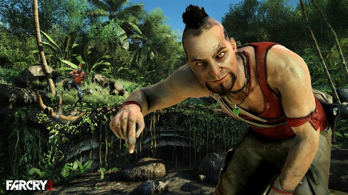 Far Cry 3 Game HD Wallpaper 04 Vistas:21493