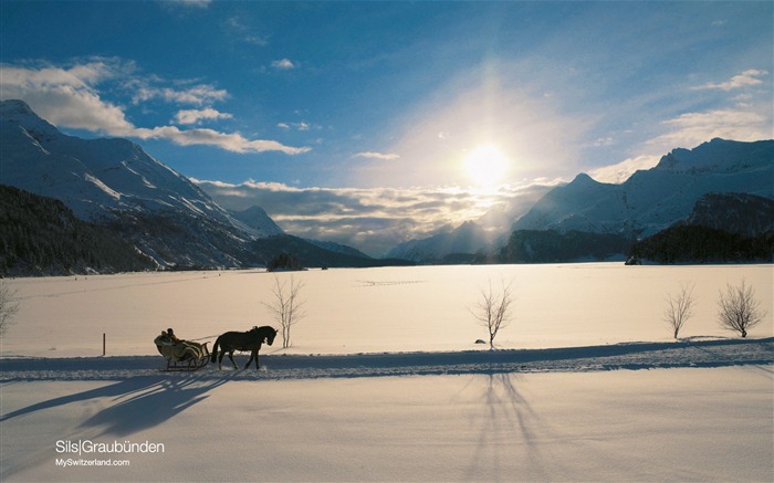 Fondo de pantalla de Graubunden-Sils Vistas:11886