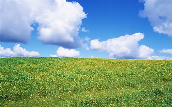 Hokkaido Hanada: la fotografía de paisajes naturales del mundo Vistas:27238