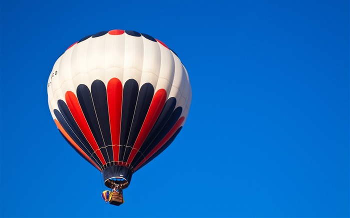 Globos de aire caliente en el cielo Vistas:9005