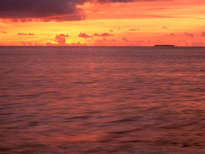 Fondo de pantalla al atardecer del Océano Vistas:19552