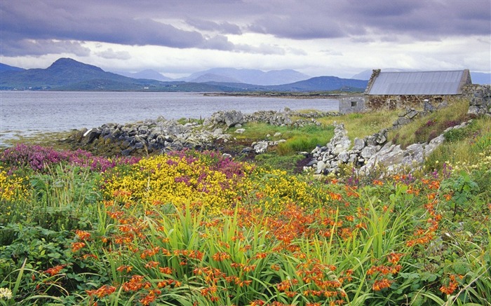 Fondo de pantalla de Irlanda- Callaway Bay Vistas:12380