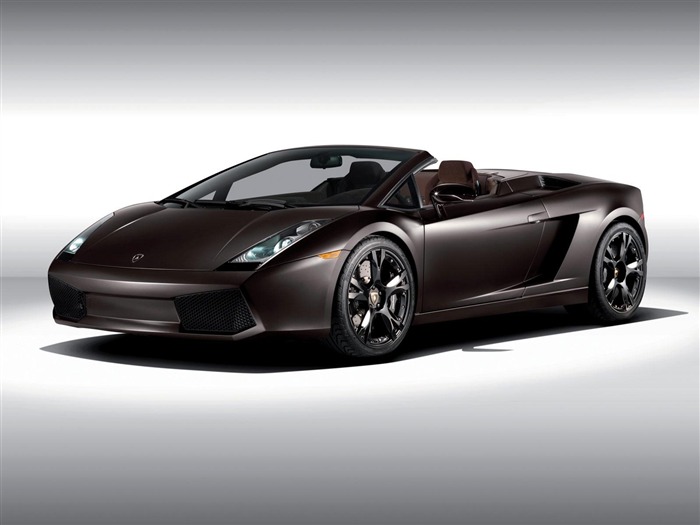 Lamborghini Gallardo - Bats - Reventon BEAUTIFUL wallpaper 03 Views:14252 Date:2011/7/18 10:05:47