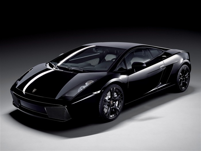 Lamborghini Gallardo - Bats - Reventon BEAUTIFUL wallpaper 23 Views:16341 Date:2011/7/18 11:25:55