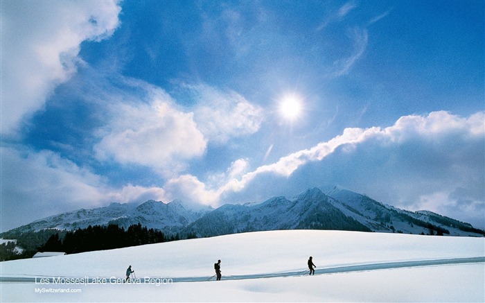 Les Mosses Cross-country skiing near Les Mosses Swiss Alps Skiing Views:17310 Date:2011/7/6 13:59:26