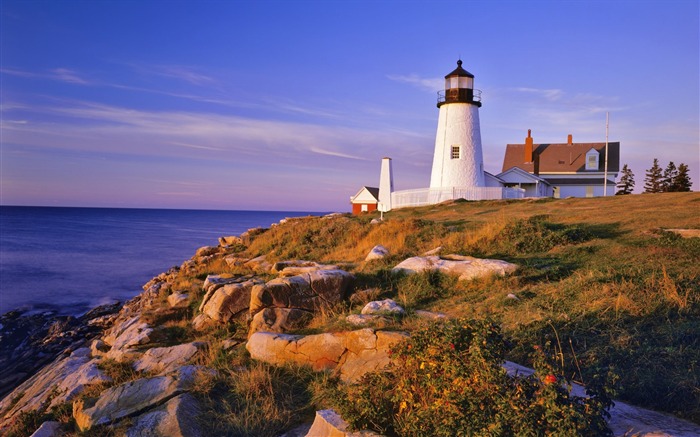 Farol - a fotografia da natureza do mundo Visualizações:14628