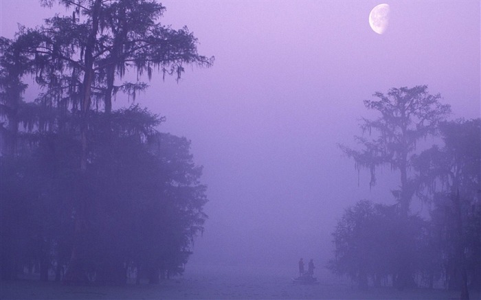 Puntos de pesca aislados en Louisiana Vistas:8399